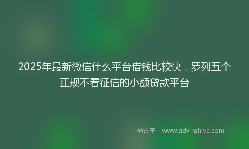 2025年最新微信什么平台借钱比较快，罗列五个正规不看征信的小额贷款平台