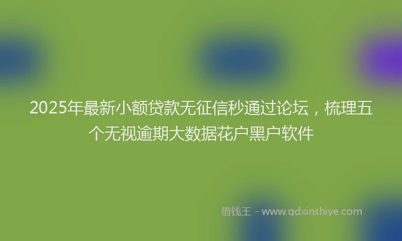 2025年最新小额贷款无征信秒通过论坛，梳理五个无视逾期大数据花户黑户软件