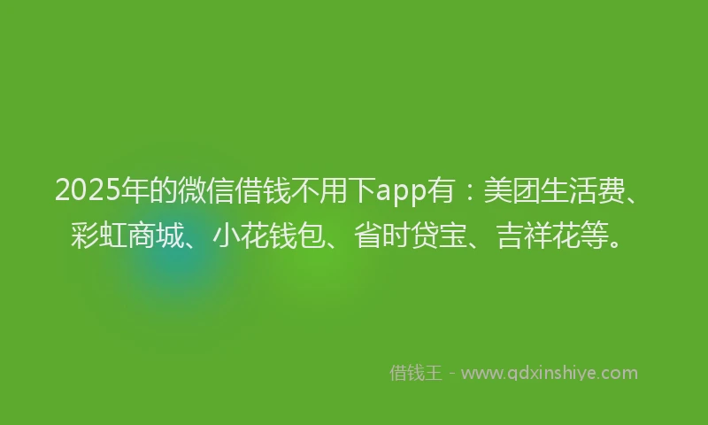 2025年的微信借钱不用下app有：美团生活费、彩虹商城、小花钱包、省时贷宝、吉祥花等。