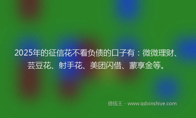 2025年的征信花不看负债的口子有：微微理财、芸豆花、射手花、美团闪借、蒙享金等。
