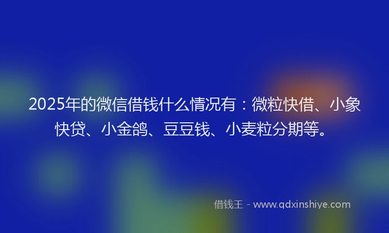 2025年的微信借钱什么情况有：微粒快借、小象快贷、小金鸽、豆豆钱、小麦粒分期等。
