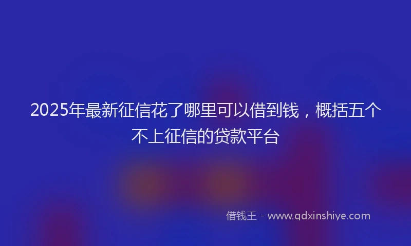 2025年最新征信花了哪里可以借到钱，概括五个不上征信的贷款平台