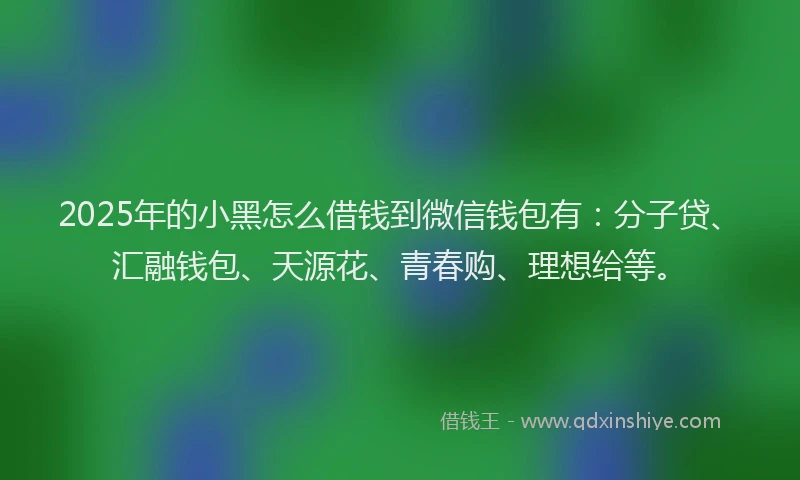 2025年的小黑怎么借钱到微信钱包有：分子贷、汇融钱包、天源花、青春购、理想给等。