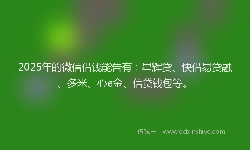 2025年的微信借钱能告有：星辉贷、快借易贷融、多米、心e金、信贷钱包等。