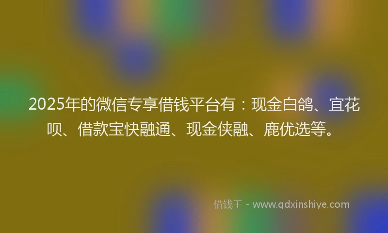 2025年的微信专享借钱平台有：现金白鸽、宜花呗、借款宝快融通、现金侠融、鹿优选等。