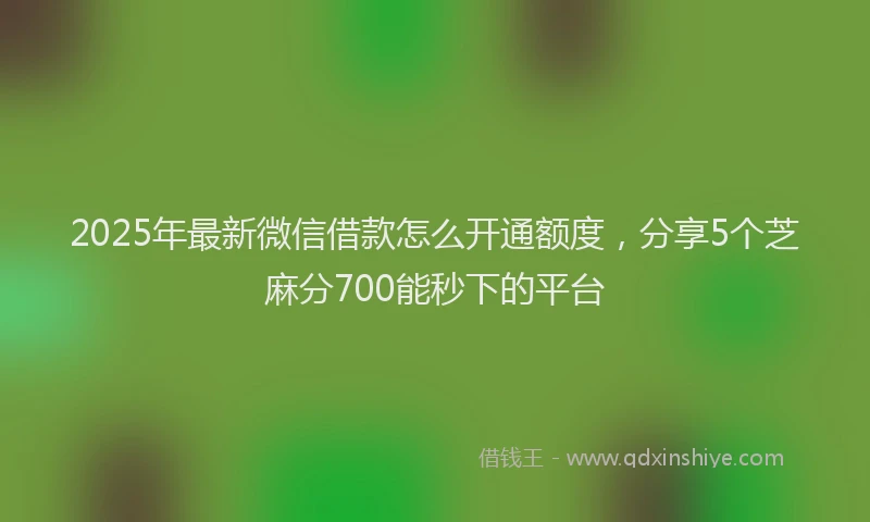 2025年最新微信借款怎么开通额度，分享5个芝麻分700能秒下的平台