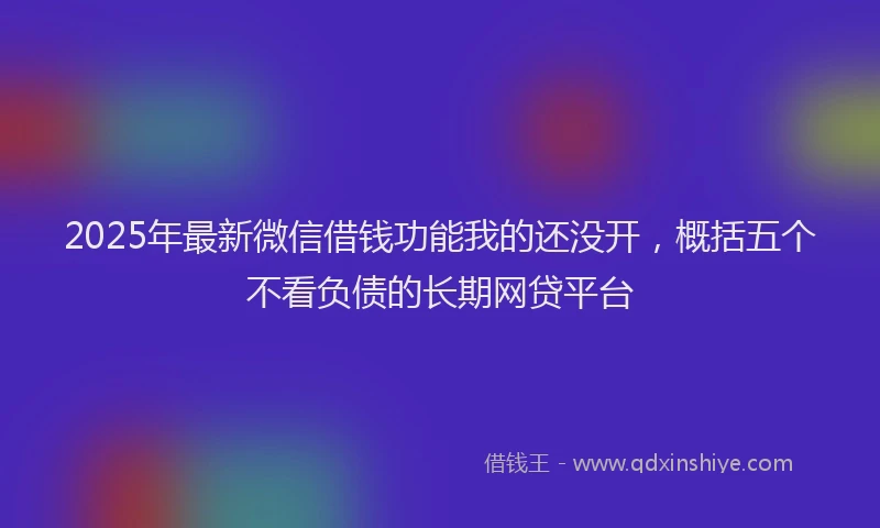 2025年最新微信借钱功能我的还没开，概括五个不看负债的长期网贷平台