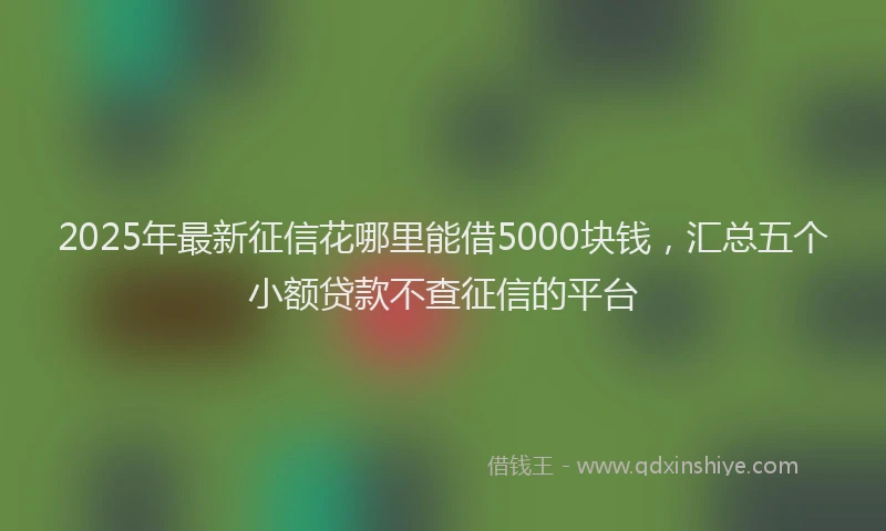 2025年最新征信花哪里能借5000块钱，汇总五个小额贷款不查征信的平台