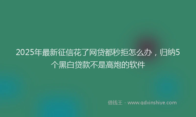 2025年最新征信花了网贷都秒拒怎么办，归纳5个黑白贷款不是高炮的软件