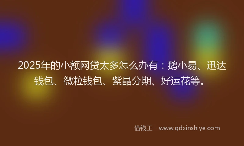 2025年的小额网贷太多怎么办有：鹅小易、迅达钱包、微粒钱包、紫晶分期、好运花等。