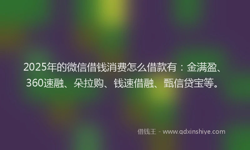2025年的微信借钱消费怎么借款有：金满盈、360速融、朵拉购、钱速借融、甄信贷宝等。