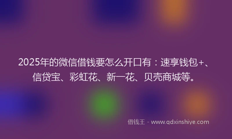 2025年的微信借钱要怎么开口有：速享钱包+、信贷宝、彩虹花、新一花、贝壳商城等。