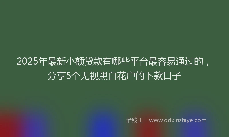2025年最新小额贷款有哪些平台最容易通过的，分享5个无视黑白花户的下款口子