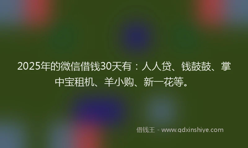 2025年的微信借钱30天有：人人贷、钱鼓鼓、掌中宝租机、羊小购、新一花等。