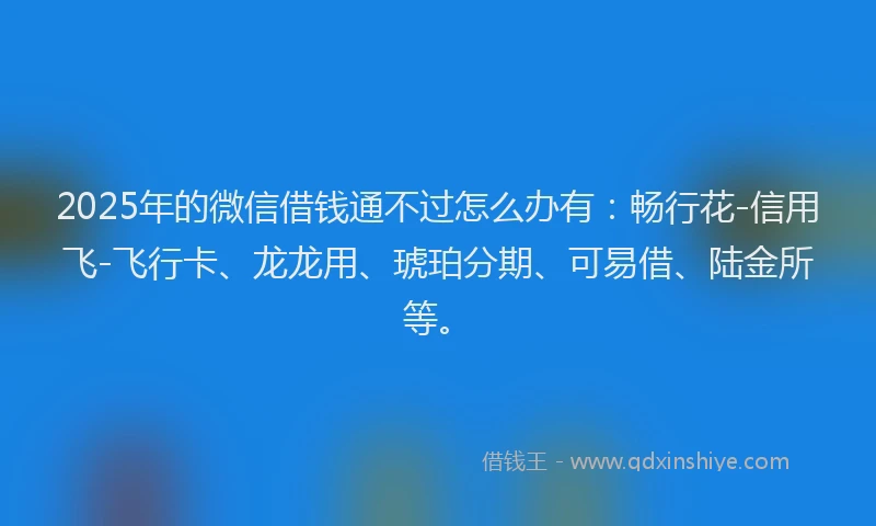 2025年的微信借钱通不过怎么办有：畅行花-信用飞-飞行卡、龙龙用、琥珀分期、可易借、陆金所等。
