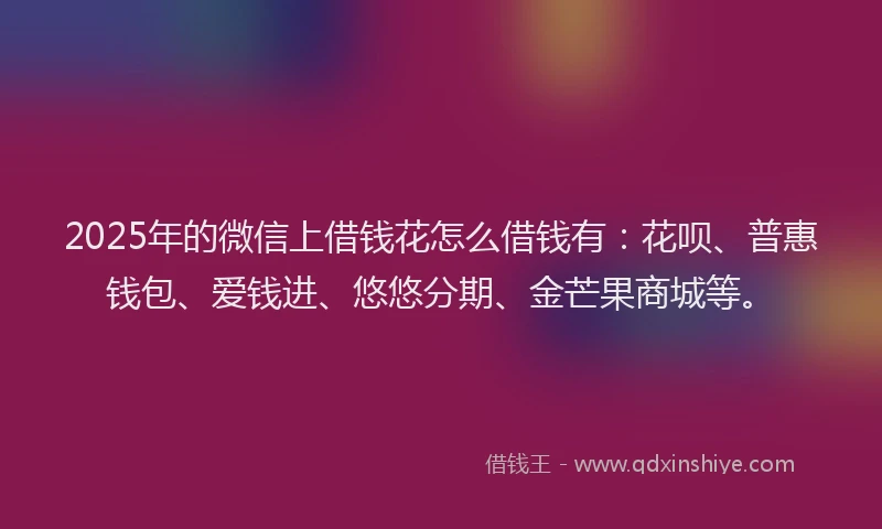 2025年的微信上借钱花怎么借钱有：花呗、普惠钱包、爱钱进、悠悠分期、金芒果商城等。