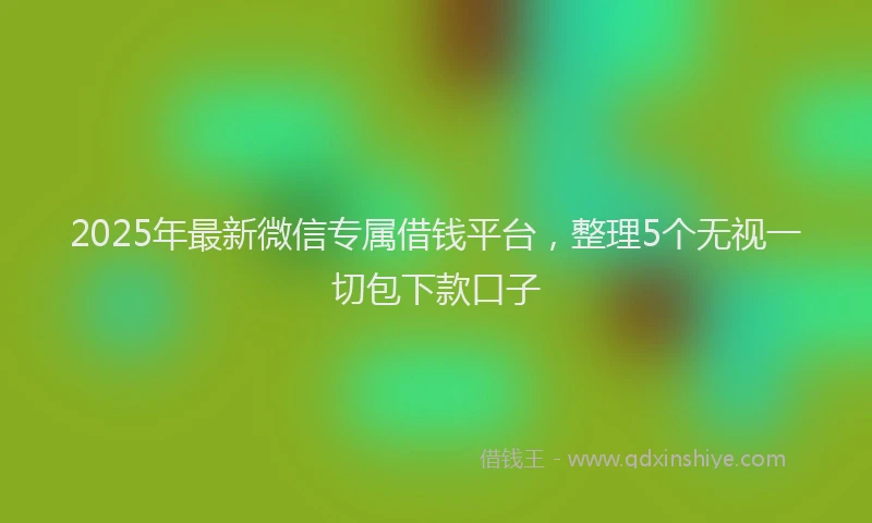 2025年最新微信专属借钱平台，整理5个无视一切包下款口子