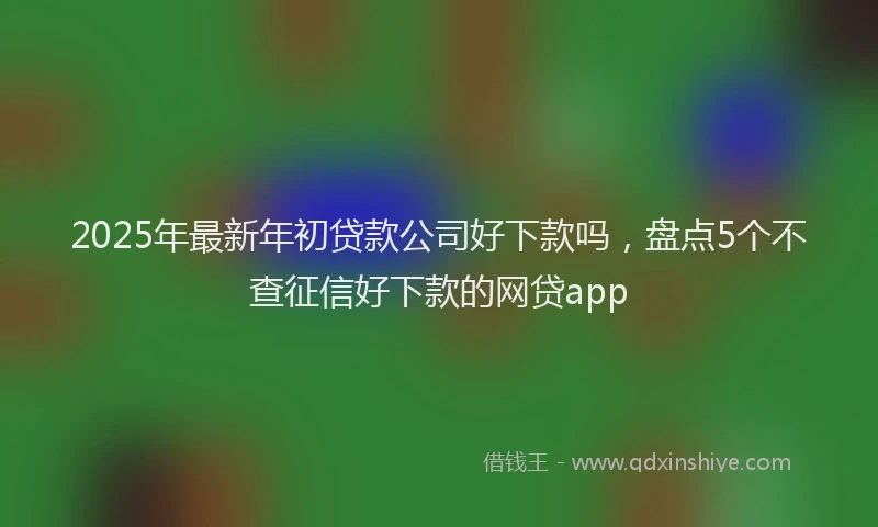 2025年最新年初贷款公司好下款吗，盘点5个不查征信好下款的网贷app