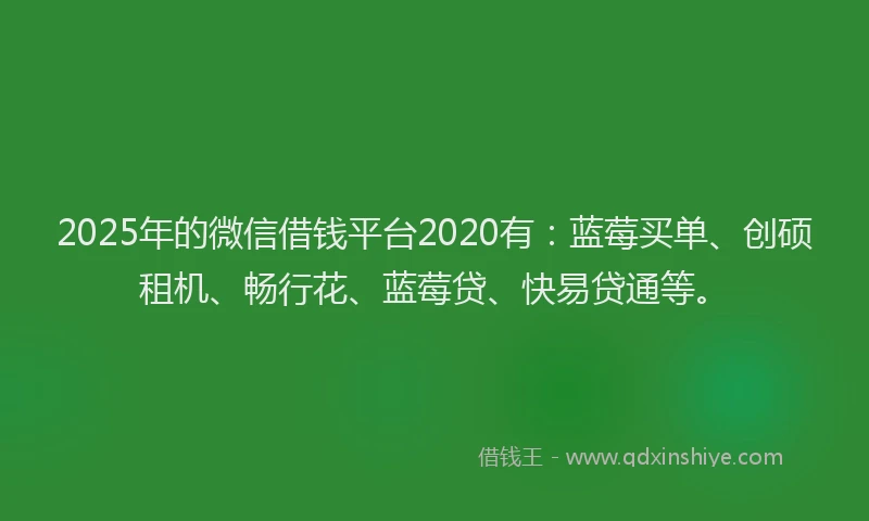 2025年的微信借钱平台2020有：蓝莓买单、创硕租机、畅行花、蓝莓贷、快易贷通等。