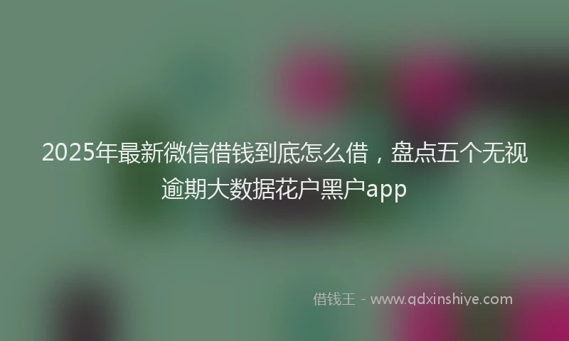 2025年最新微信借钱到底怎么借，盘点五个无视逾期大数据花户黑户app