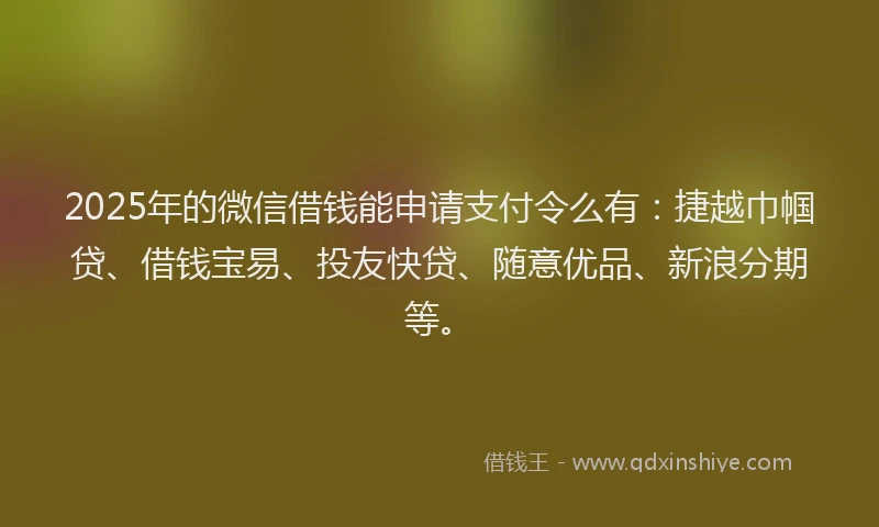 2025年的微信借钱能申请支付令么有：捷越巾帼贷、借钱宝易、投友快贷、随意优品、新浪分期等。