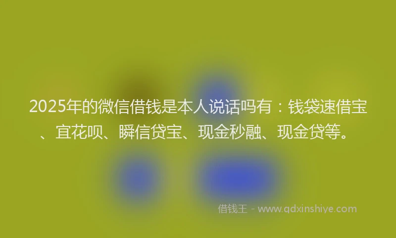 2025年的微信借钱是本人说话吗有：钱袋速借宝、宜花呗、瞬信贷宝、现金秒融、现金贷等。