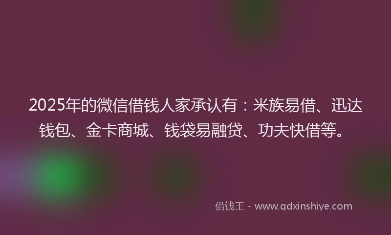 2025年的微信借钱人家承认有：米族易借、迅达钱包、金卡商城、钱袋易融贷、功夫快借等。