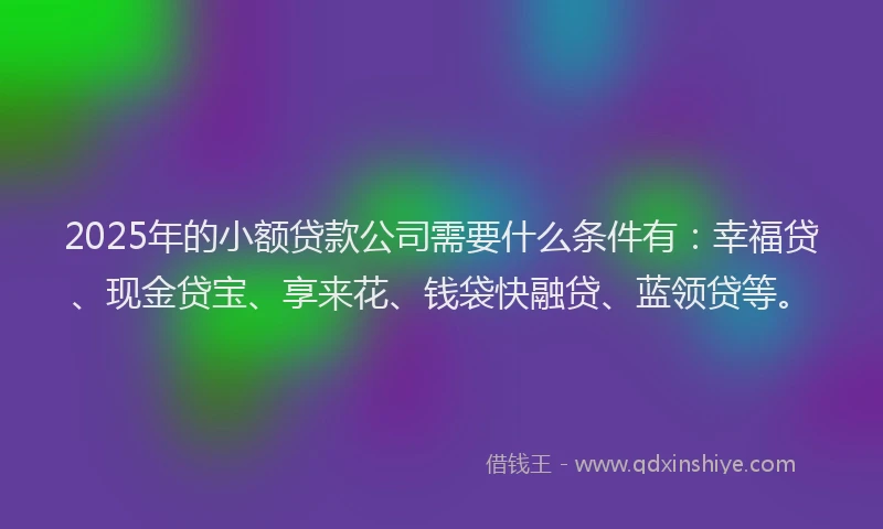 2025年的小额贷款公司需要什么条件有：幸福贷、现金贷宝、享来花、钱袋快融贷、蓝领贷等。