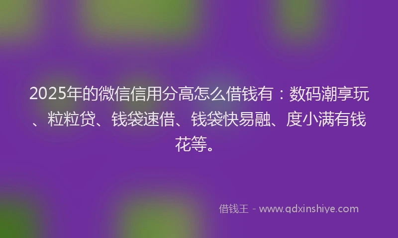 2025年的微信信用分高怎么借钱有：数码潮享玩、粒粒贷、钱袋速借、钱袋快易融、度小满有钱花等。