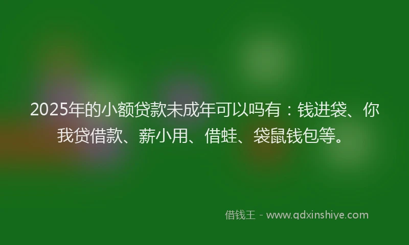 2025年的小额贷款未成年可以吗有：钱进袋、你我贷借款、薪小用、借蛙、袋鼠钱包等。