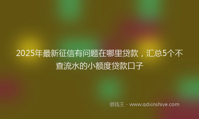 2025年最新征信有问题在哪里贷款，汇总5个不查流水的小额度贷款口子