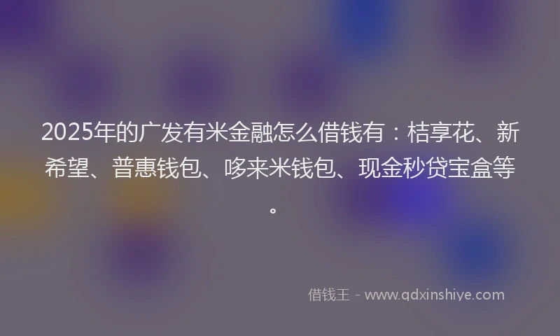 2025年的广发有米金融怎么借钱有：桔享花、新希望、普惠钱包、哆来米钱包、现金秒贷宝盒等。