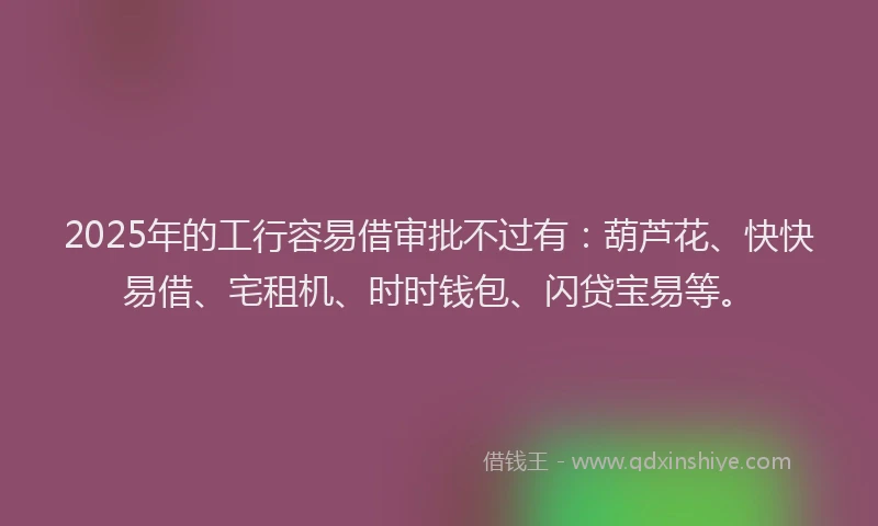 2025年的工行容易借审批不过有：葫芦花、快快易借、宅租机、时时钱包、闪贷宝易等。