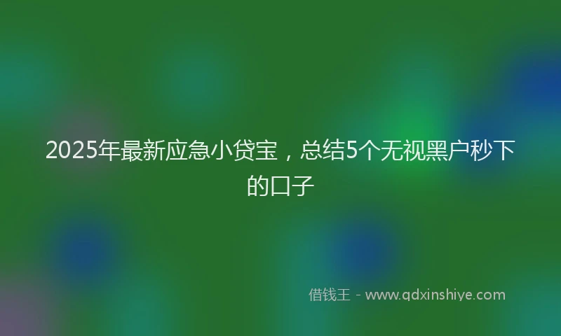 2025年最新应急小贷宝，总结5个无视黑户秒下的口子