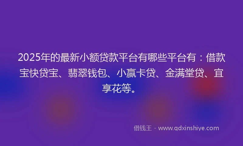 2025年的最新小额贷款平台有哪些平台有：借款宝快贷宝、翡翠钱包、小赢卡贷、金满堂贷、宜享花等。