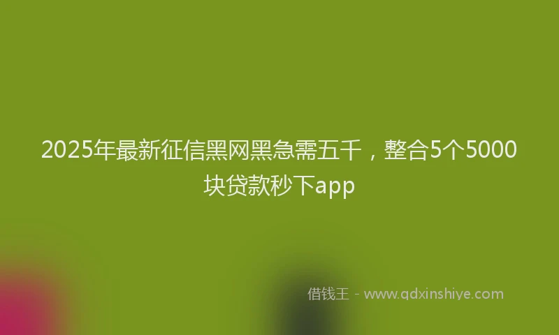 2025年最新征信黑网黑急需五千，整合5个5000块贷款秒下app