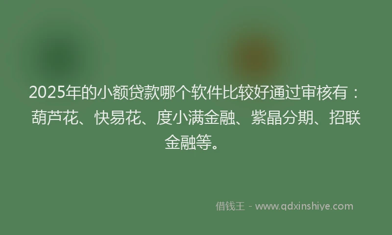 2025年的小额贷款哪个软件比较好通过审核有：葫芦花、快易花、度小满金融、紫晶分期、招联金融等。