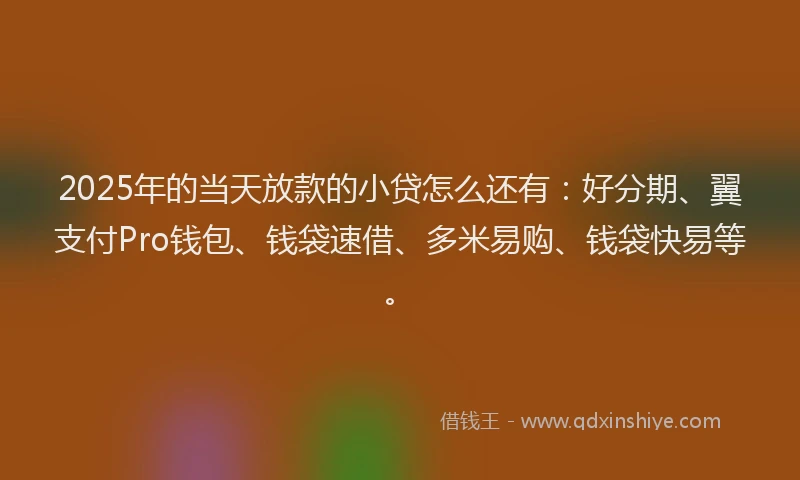 2025年的当天放款的小贷怎么还有：好分期、翼支付Pro钱包、钱袋速借、多米易购、钱袋快易等。