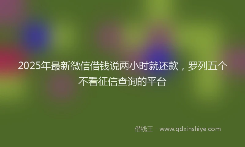 2025年最新微信借钱说两小时就还款，罗列五个不看征信查询的平台