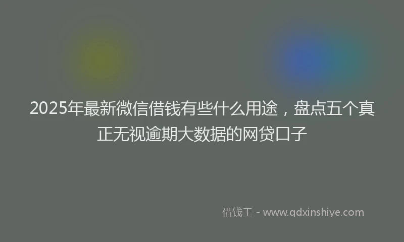 2025年最新微信借钱有些什么用途，盘点五个真正无视逾期大数据的网贷口子