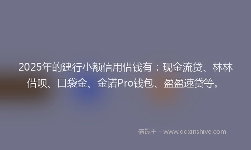 2025年的建行小额信用借钱有：现金流贷、林林借呗、口袋金、金诺Pro钱包、盈盈速贷等。