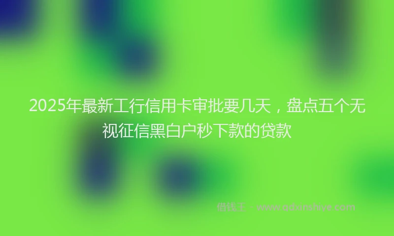 2025年最新工行信用卡审批要几天，盘点五个无视征信黑白户秒下款的贷款
