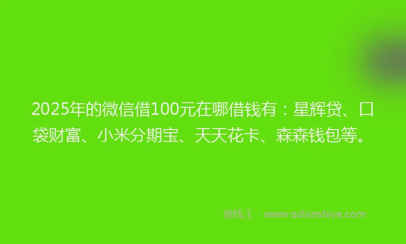 2025年的微信借100元在哪借钱有：星辉贷、口袋财富、小米分期宝、天天花卡、森森钱包等。