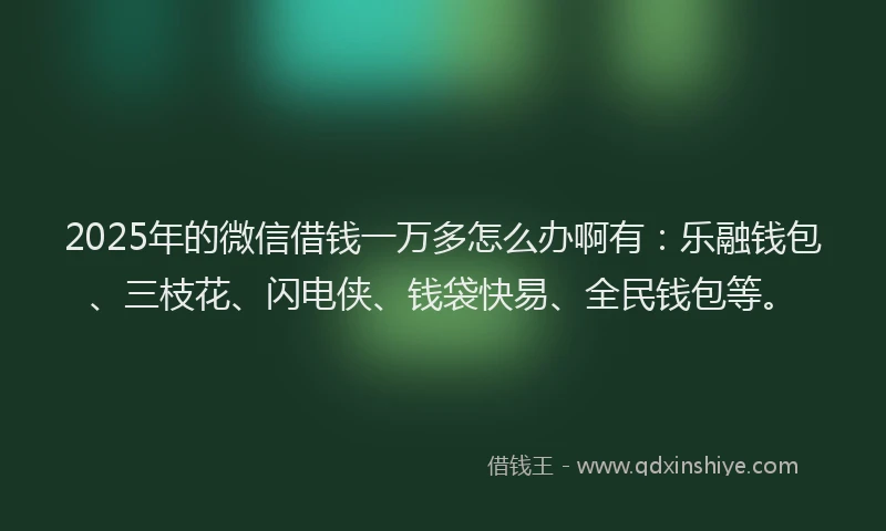 2025年的微信借钱一万多怎么办啊有：乐融钱包、三枝花、闪电侠、钱袋快易、全民钱包等。