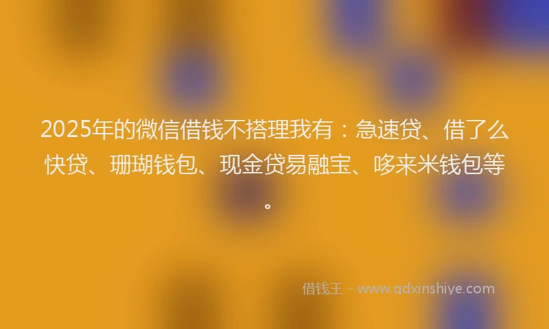 2025年的微信借钱不搭理我有：急速贷、借了么快贷、珊瑚钱包、现金贷易融宝、哆来米钱包等。