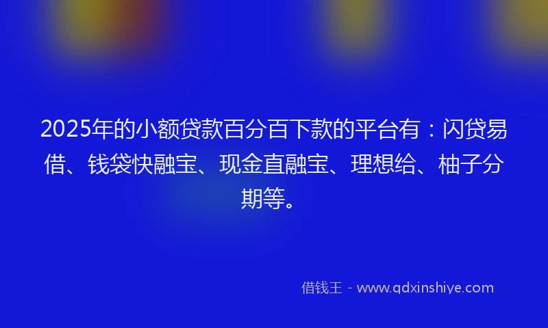 2025年的小额贷款百分百下款的平台有：闪贷易借、钱袋快融宝、现金直融宝、理想给、柚子分期等。