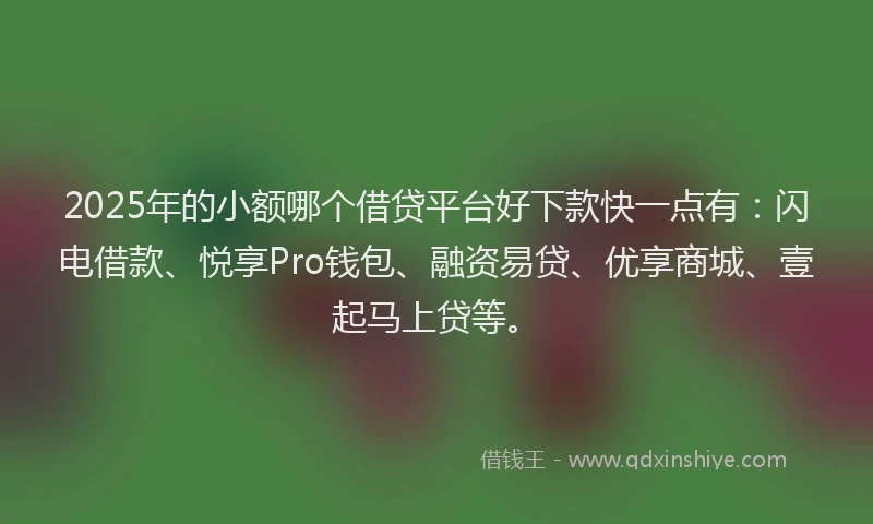 2025年的小额哪个借贷平台好下款快一点有：闪电借款、悦享Pro钱包、融资易贷、优享商城、壹起马上贷等。