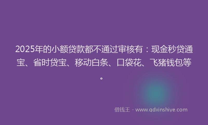 2025年的小额贷款都不通过审核有：现金秒贷通宝、省时贷宝、移动白条、口袋花、飞猪钱包等。
