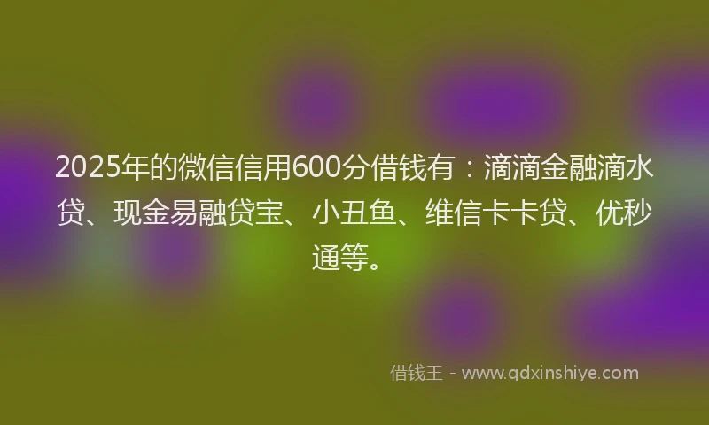 2025年的微信信用600分借钱有：滴滴金融滴水贷、现金易融贷宝、小丑鱼、维信卡卡贷、优秒通等。
