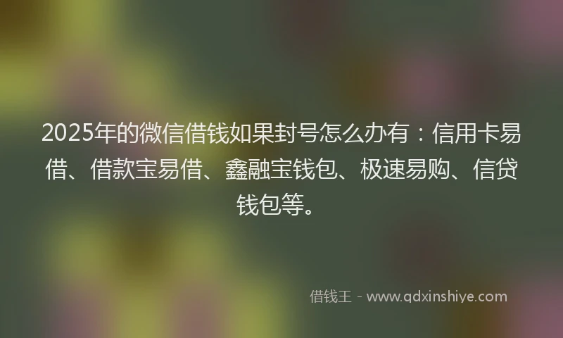 2025年的微信借钱如果封号怎么办有：信用卡易借、借款宝易借、鑫融宝钱包、极速易购、信贷钱包等。